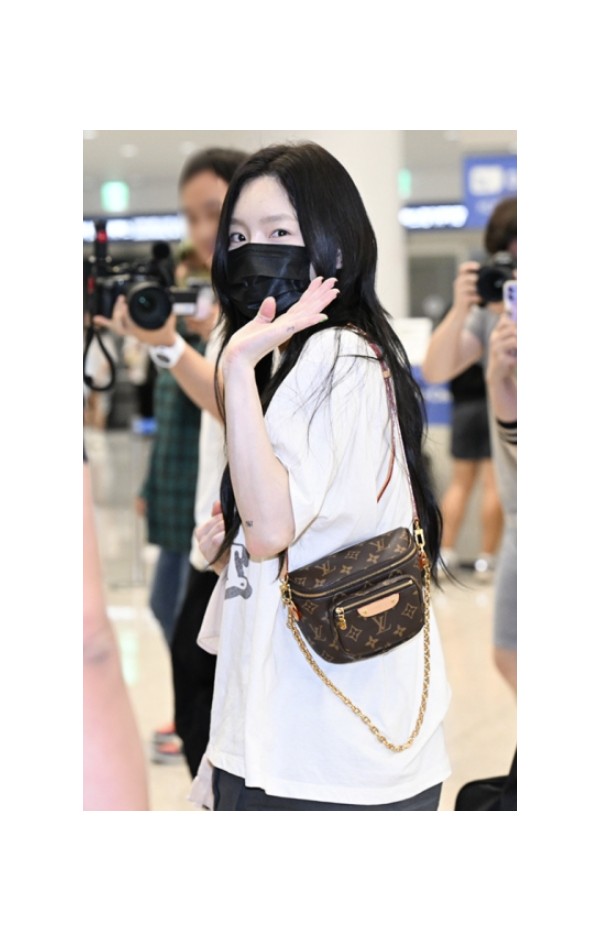 [태연 PICK] 루이비통 미니 범백